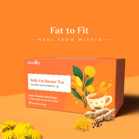 Belly Fat Burner Tea - 15 Pyramid tea bags